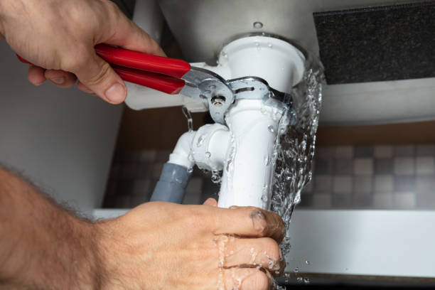 Best Local water damage restoration  in Aztec, NM