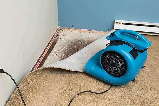 Best Emergency water damage restoration  in Aztec, NM